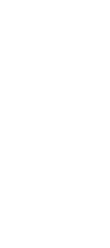 texto slide 3